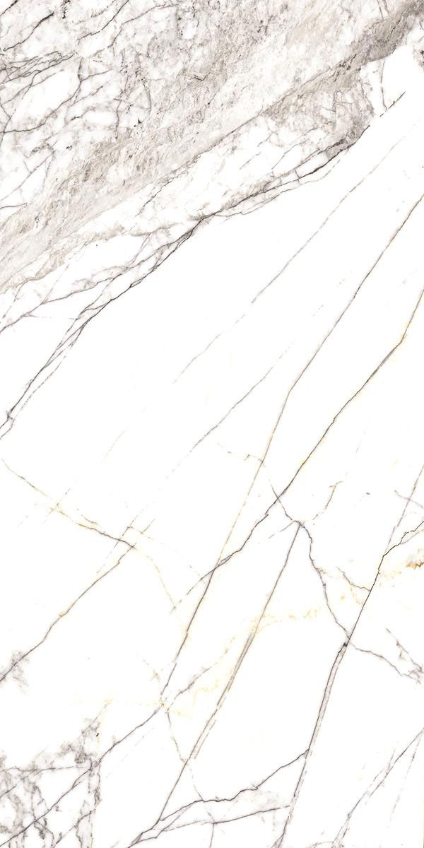 COSICO WHITE F2